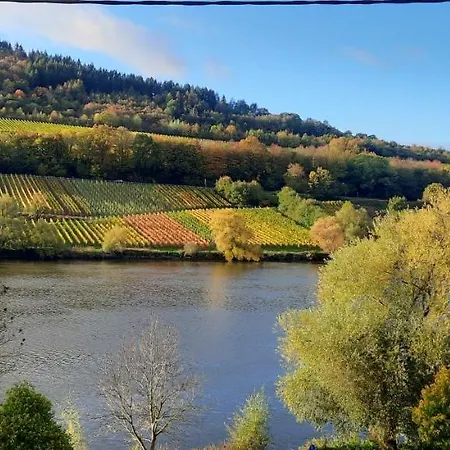 In Spay Smile Zell-merl Mosel *