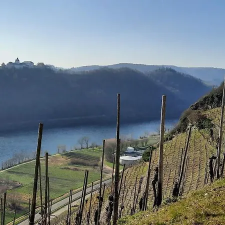 In Spay Smile Zell-merl Mosel Zell