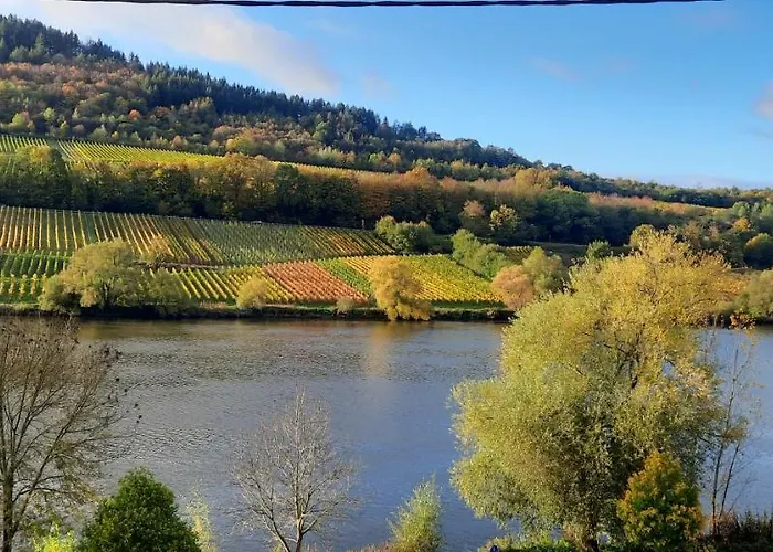 In Spay Smile Zell-merl Mosel *