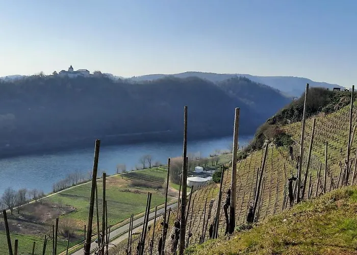 In Spay Smile Zell-merl Mosel 摩泽尔河畔的泽尔