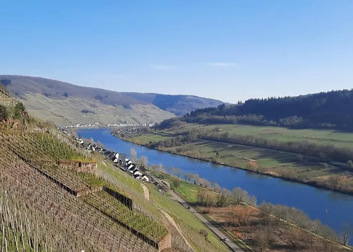 In Spay Smile Zell-merl Mosel 公寓 摩泽尔河畔的泽尔