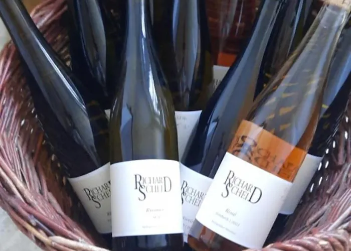 In Spay Smile Zell-merl Mosel 摩泽尔河畔的泽尔